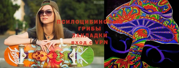 амф Алексин